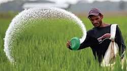 تأمین امنیت غذایی خراسان شمالی با تداوم پرداخت یارانه‌های نهاده‌های کشاورزی