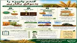 کاشت به موقع گندم پاییزه