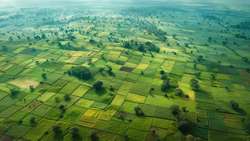 واگذاری ۳۴۰ هکتار از اراضی ملی خوزستان برای تولید انرژی پاک و رفع ناترازی برق ‌