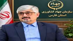 سرشماری کلنی‌ها در مهرماه، کلید حمایت هدفمند و توسعه زنبورداری فارس