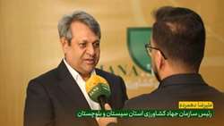 سهم 7هزار تنی سیستان و بلوچستان در تامین گوشت سایر استان ها