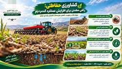 کشاورزی حفاظتی  راهی مطمئن برای افزایش عملکرد گندم دیم