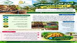 اینفوگرافی/ آبیاری قطره‌ای زیرسطحی در نخلستان