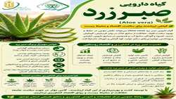  مشخصات فناوری و مزایای گیاه دارویی صبرزرد ( Aloe vera )
