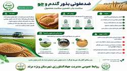 رعایت اصول فنی ضدعفونی بذور، گامی اساسی در تضمین امنیت غذایی