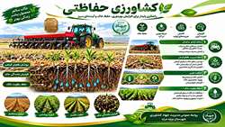 کشاورزی حفاظتی  راهی مطمئن برای افزایش عملکرد گندم 