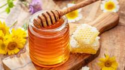 پیش‌بینی تولید بیش از ۲۰ هزار تن عسل در آذربایجان شرقی