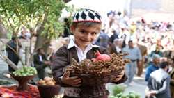 نخستین جشنواره استانی سماق در روستای ژان سروآباد برگزار شد 