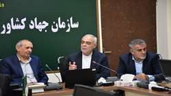 سرمایه‌گذاری برای حمایت از تولید قراردادی طیور