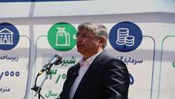 گاوداری شیری ۲ هزار رأسی معمولان کلنگ‌زنی شد؛ گامی مهم در مسیر توسعه دامپروری و تکمیل زنجیره تولید در لرستان