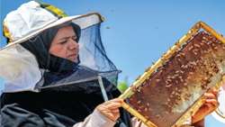 فعالیت ۲۴ صندوق اعتبارات خرد زنان روستایی در استان قم 