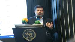 پرداخت ۹۰ درصد مطالبات گندمکاران؛ تسویه کامل تا پایان مهرماه