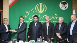 مدیرکل یکپارچگی و بهره‌وری اراضی سازمان امور اراضی معرفی شد