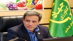  تحقق ۱۰۲ درصدی جوجه‌ریزی در کرمانشاه طی ۲۵ روز نخست مرداد 