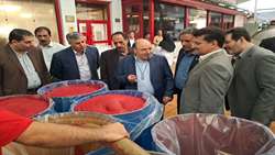 رصد میدانی ظرفیت‌ها و موانع تولید در چهار واحد صنایع تبدیلی و کشت و صنعت استان کرمانشاه