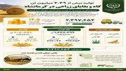 تولید کاه در استان کرمانشاه و ارزش غذایی و مادی این محصول
