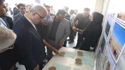 رونمایی از ۲ رقم جدید گندم «شاهو» و «نیلا» در استان کرمانشاه