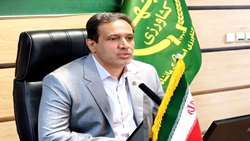 ادامه روند توزیع مرغ منجمد در فروشگاه‌های استان کرمانشاه