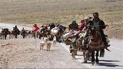 کوچ بهاره عشایر ورامین آغاز شد