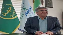 افزایش عملکرد واحد سطح زیرکشت گندم در دو سال آینده؛ ۵ تن در هکتار