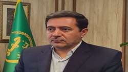 کاشت گندم در استان فارس به پایان رسید