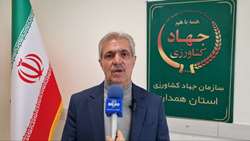 تولید و توزیع مرغ گرم در فامنین هوشمند شد / اجرای سامانه توزیع هوشمند مرغ در استان همدان به زودی عملیاتی می‌شود