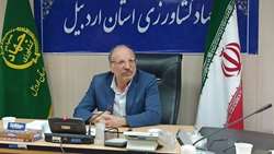 صادرات سیب زمینی از اردبیل به کشور‌های خارجی همچنان ادامه دارد