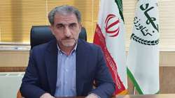 یک میلیون و ۱۹۷ هزار قطعه جوجه ریزی در مرغداری‌های استان ایلام انجام شد