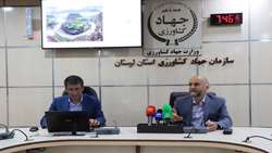 پیش‌بینی افزایش تولید محصولات اساسی دیم تا ۲۵ درصد در استان لرستان/ بازگشت ۲۳۹ واحد غیرفعال به چرخه تولید در دولت سیزدهم
