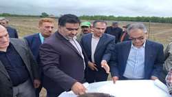 یکپارچه‌سازی ۶۵ هزار هکتار زمین کشاورزی شمال کشور با سرمایه‌گذاری چینی‌ها