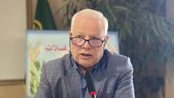 تدوین سند جامع گیاهان دارویی در خراسان رضوی