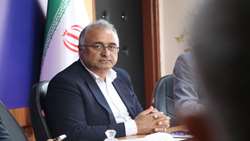 نقش کلیدی زنبور عسل در افزایش تولید مرکبات مازندران