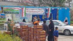 توزیع ۸.۵تن اقلام اساسی با قیمت مصوب در غرفه‌های سوادکوه؛ تامین معیشت خانوارها در روزهای پایانی سال