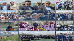ادامه پویش سرو ایران در استان اردبیل/ ۵۰۰ اصله نهال غرس شد