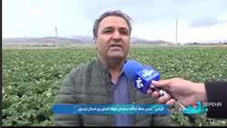 کشاورزان توصیه‌های فنی را جدی بگیرند