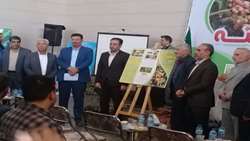فعالان اقتصادی از ظرفیت سرمایه‌گذاری در تولید پسته قم استفاده کنند