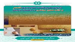 اجرای طرح کشت قراردادی گندم و دانه های روغنی در استان زنجان