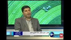 کشت قراردادی به اصلاح الگوی کشت و اجرای سیستمهای نوین آبیاری سرعت می بخشد