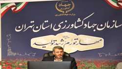 صادرات بیش از 4700تن صیفی جات گلخانه های استان تهران به روسیه