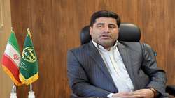 اراضی کشاورزی بدون سند آذربایجان شرقی تا پایان 1403 سنددار می‌شود