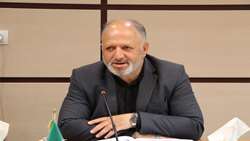 تدوین 22 برنامه مهم برای تولیدات گیاهی استان قزوین