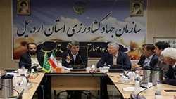 تاکید بر کنترل آفات و بیماری‌های گیاهی با سمپاشی به موقع مزارع