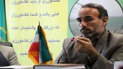 ضرورت بازنگری در عرصه سرمایه گذاری، رسانه و آموزش کاشت پسته