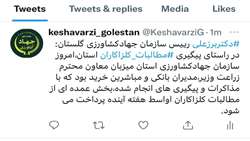 پرداخت بخشی‌ از مطالبات کلزاکاران گلستانی تا اواسط هفته آینده