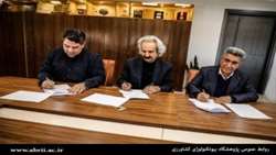 نخلستان های کشور جوان می شوند
