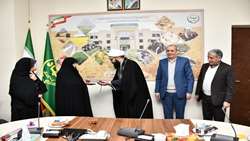 نگاه کشورهای غربی به زنان نگاه ابزاری است