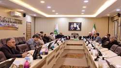 تقویت پوشش گیاهی راهکار برون‌رفت از چالش‌های زیست محیطی است