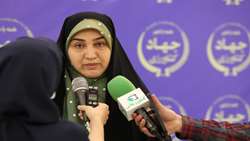 الگوی کشت باید براساس توان سرزمینی و آمار پایه دقیق اجرا شود/ وزارت جهاد کشاورزی از نخبگان کمک بگیرد