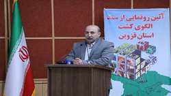 کشت قراردادی، الگوی موفق کشاورزی در 1402 خواهد بود