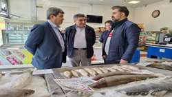 بازدید سرزده سرپرست شیلات استان آذربایجان شرقی از بازار ماهی تبریز